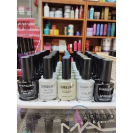 Base Coat, Top coat – Charm limit