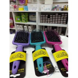 Cepillo Neumático Paleta Color C852 – Jessamy
